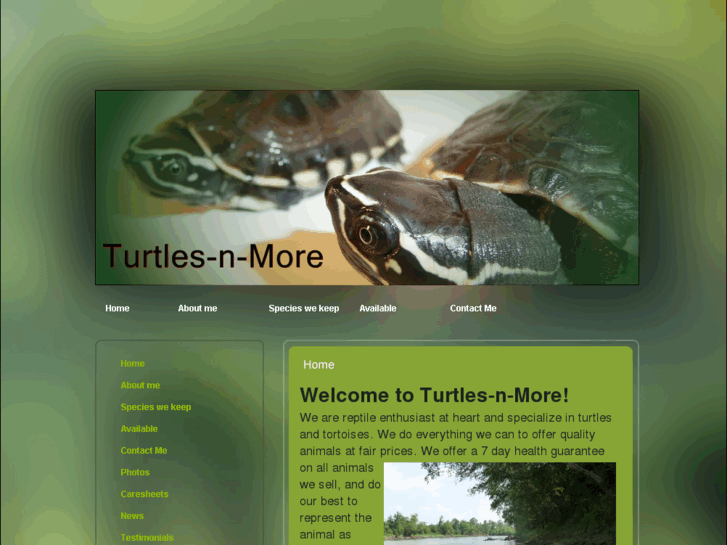 www.turtles-n-more.com