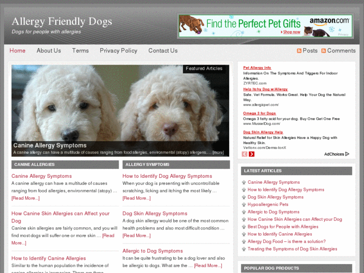 www.allergyfriendlydogs.com