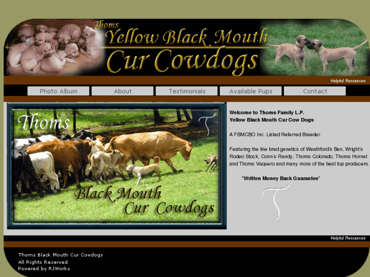 www.blackmouthcurcowdogs.com