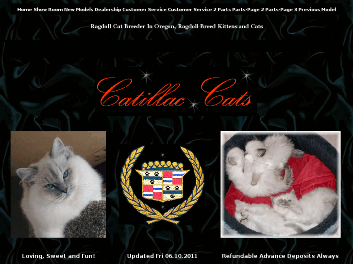 www.catillaccats.com
