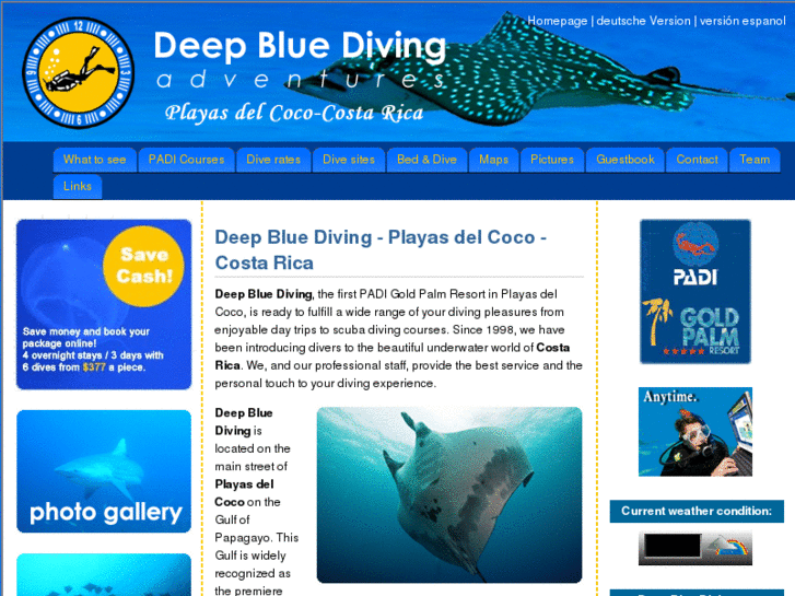 www.deepblue-diving.com