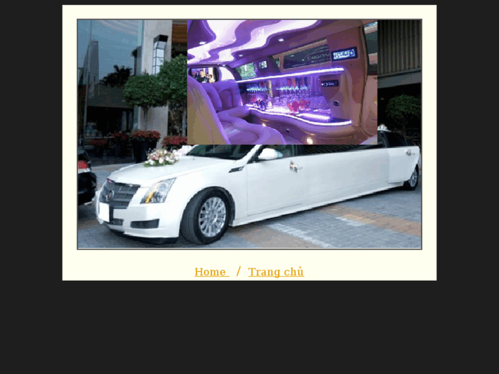 www.saigonlimo.com