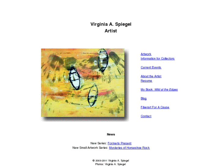 www.virginiaspiegel.com