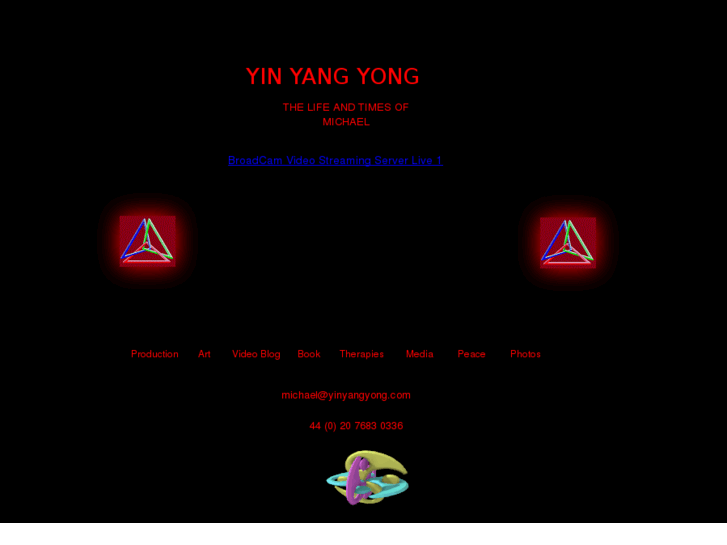 www.yinyangyong.com