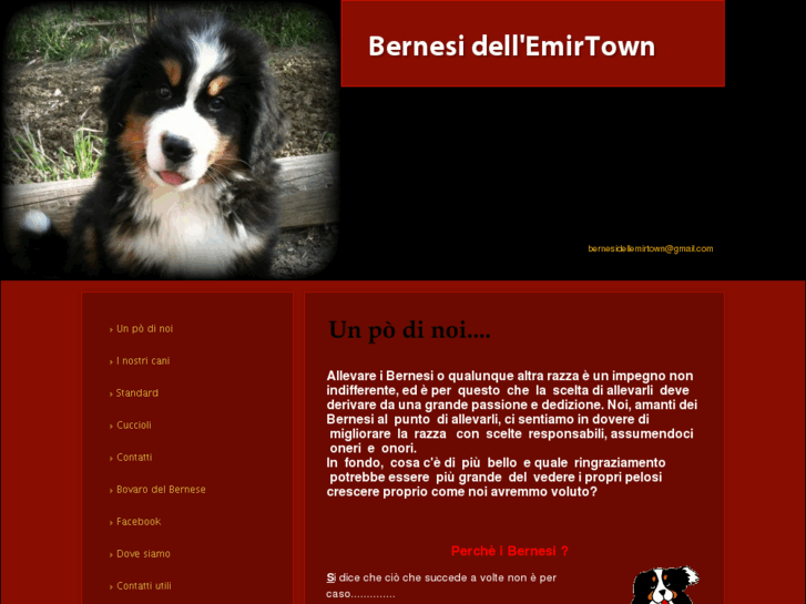 www.bernesidellemirtown.com