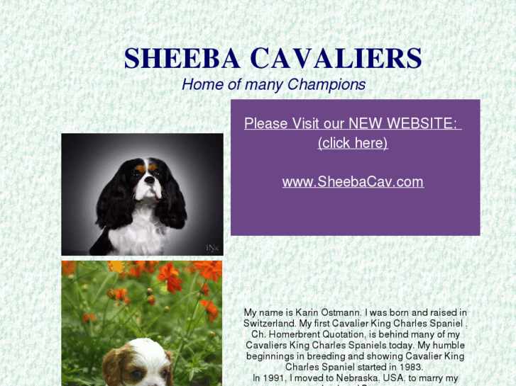 www.cavalierssheeba.com