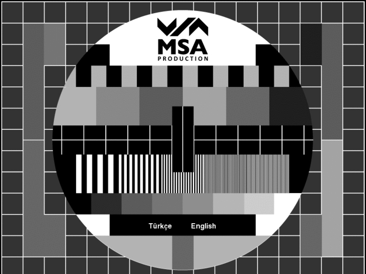 www.msaproduction.com