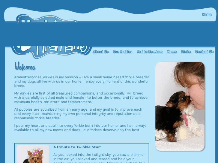 www.yorkiesofaramatte.com