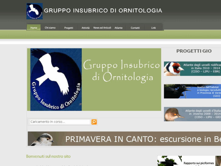 www.gruppoinsubrico.it