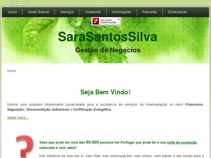 www.sarasantossilva.com