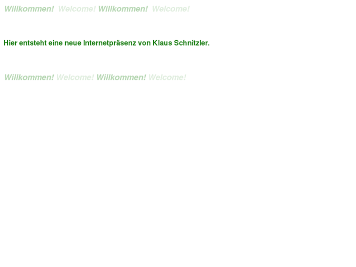 www.schnitzler-netz.com