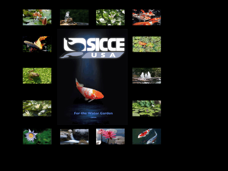 www.siccepond.com