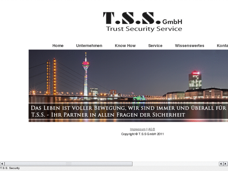 www.tss-security.net