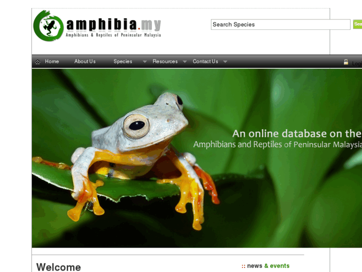 www.amphibia.my