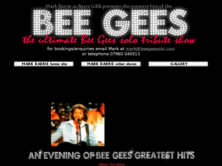 www.beegeesolo.com