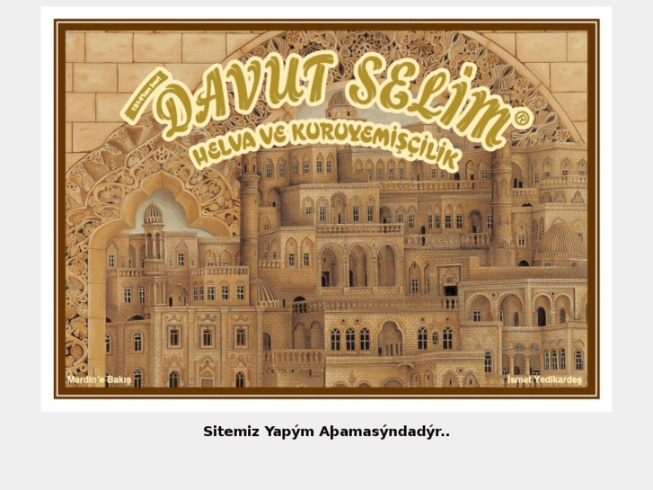 www.davutselim.com