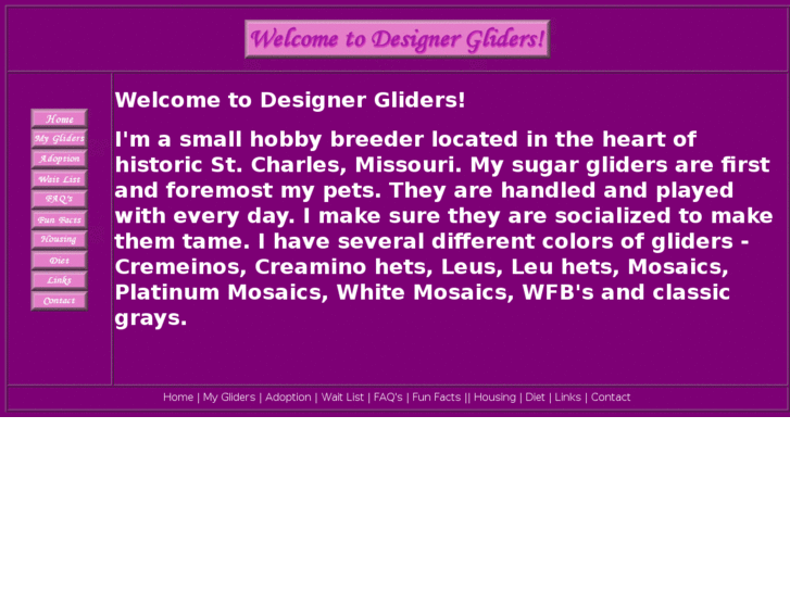 www.designergliders.com