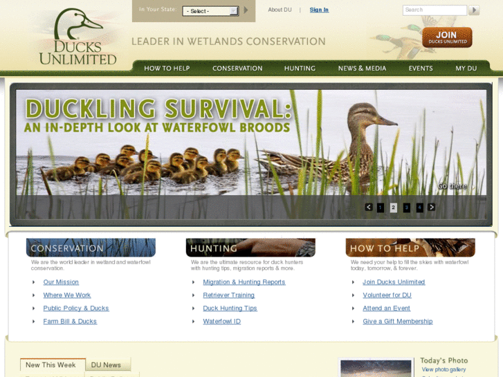 www.ducksunlimited.com