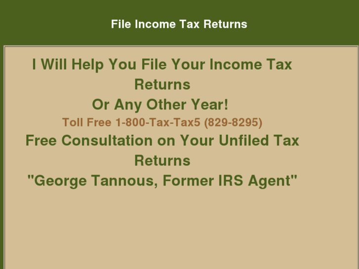 www.fileincometaxreturns.net