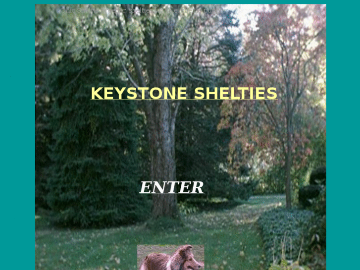 www.keystonesheltiesusa.com