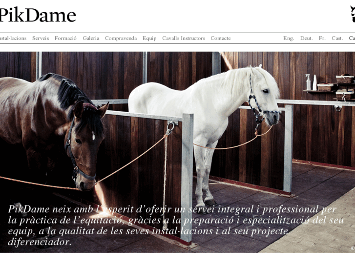 www.pikdame-sporthorses.com