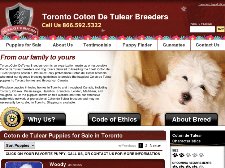 www.torontocotondetulearbreeders.com