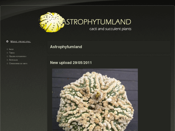 www.astrophytumland.com