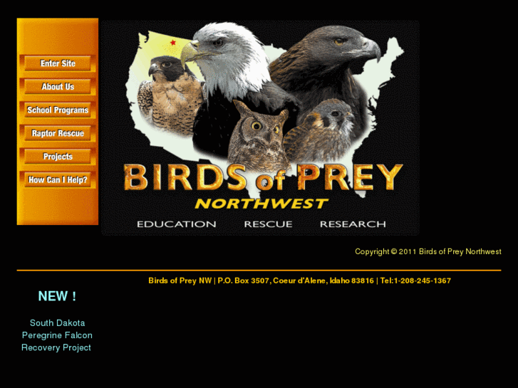 www.birdsofpreynorthwest.org