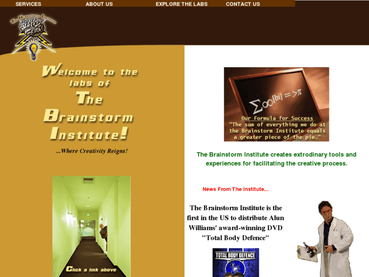 www.brainstorm-institute.com