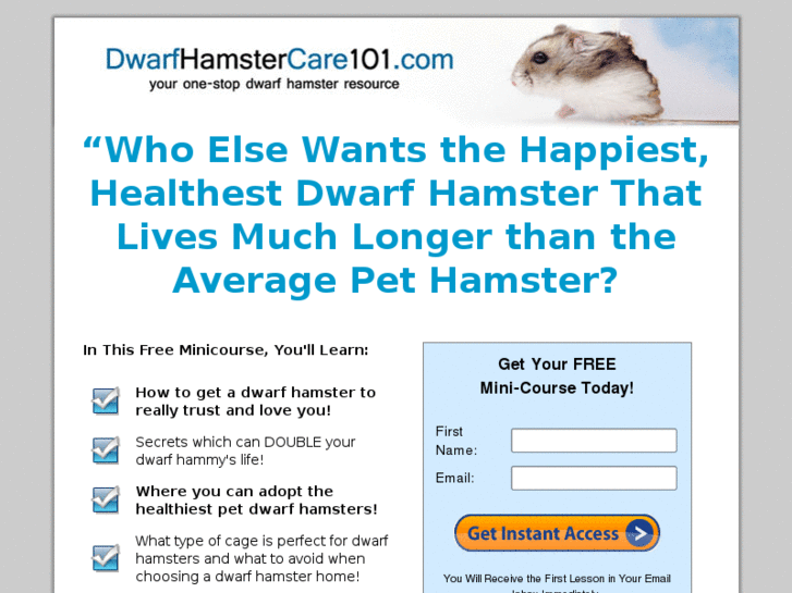 www.dwarfhamstercare101.com