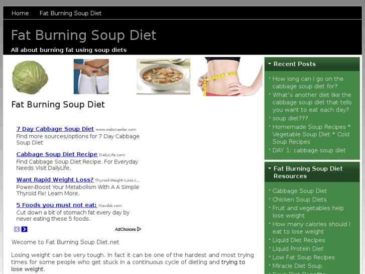 www.fatburningsoupdiet.net