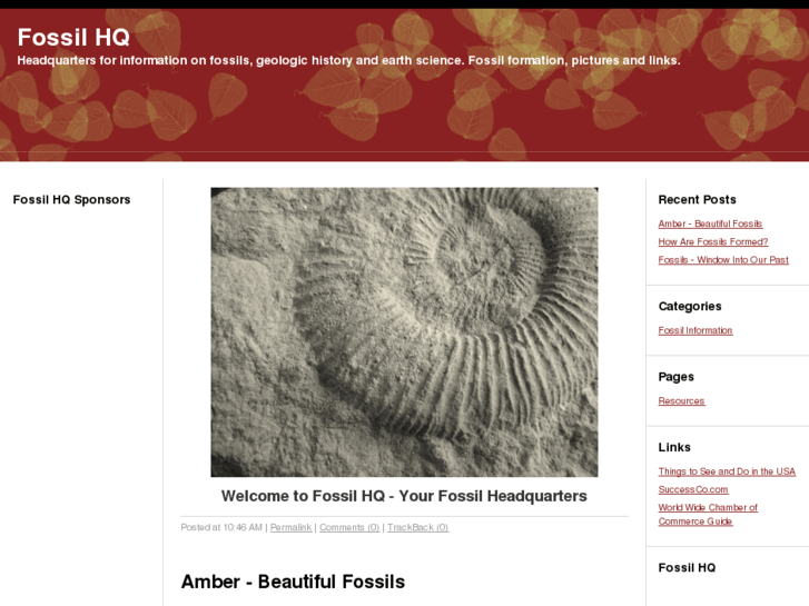 www.fossilhq.com