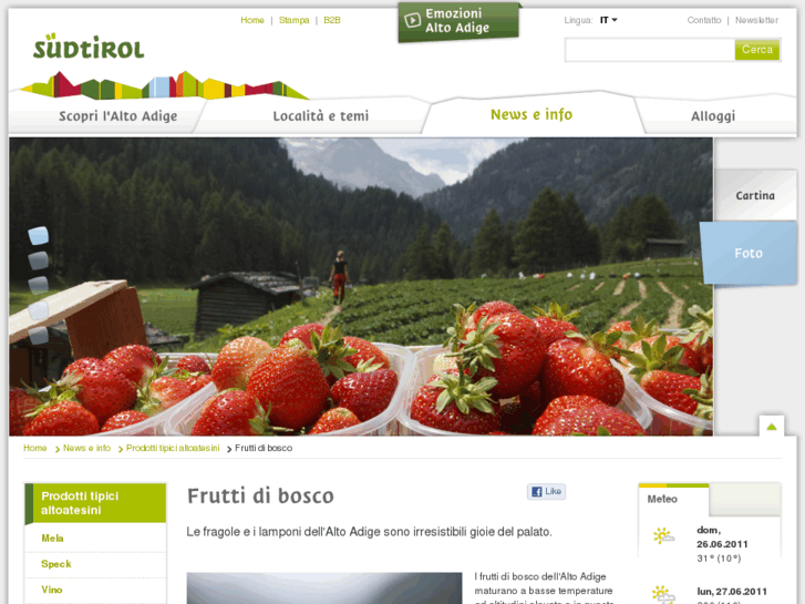 www.fragolealtoadige.com