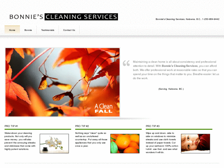 www.bonniescleaningservices.com