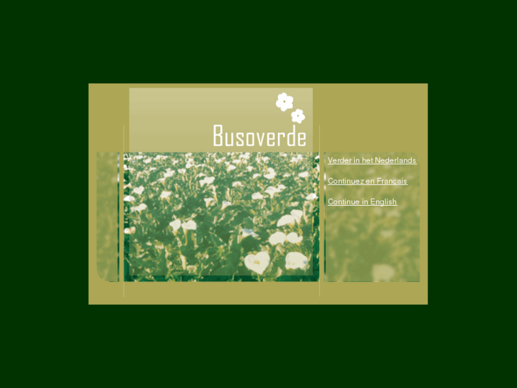 www.busoverde.com