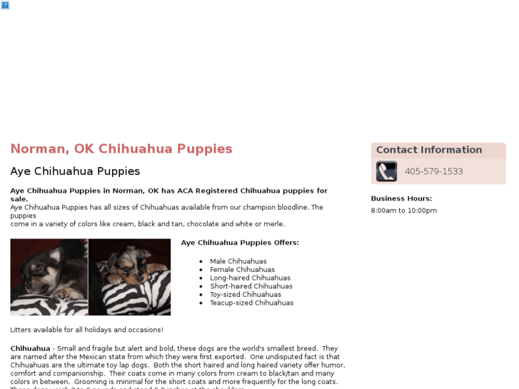 www.chihuahuasforsaleoklahoma.com