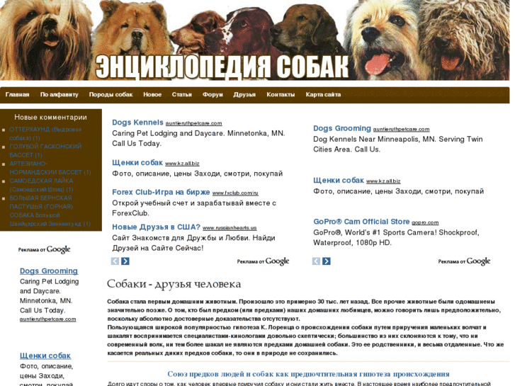 www.endogs.ru