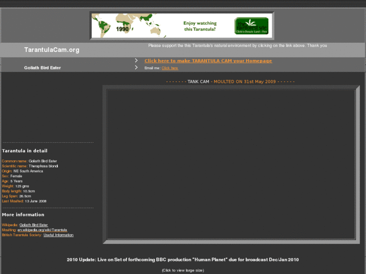 www.tarantulacam.org