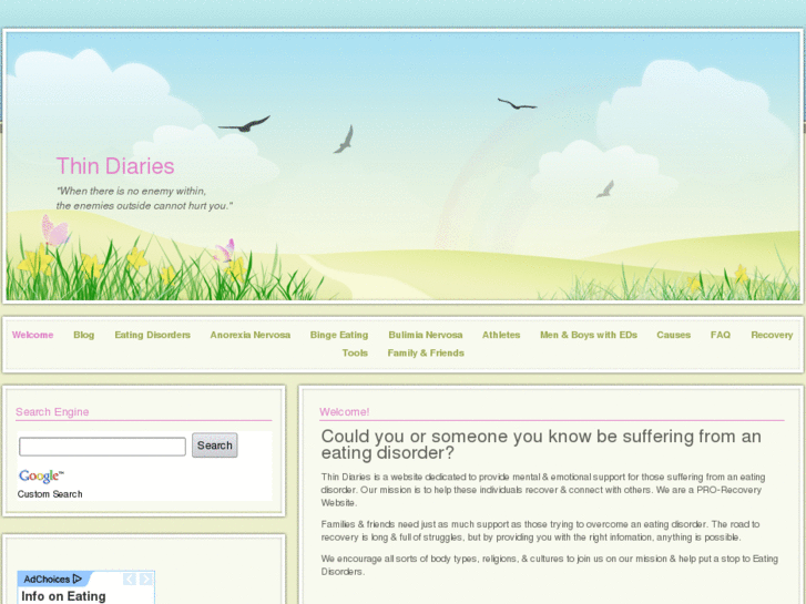www.thindiaries.com