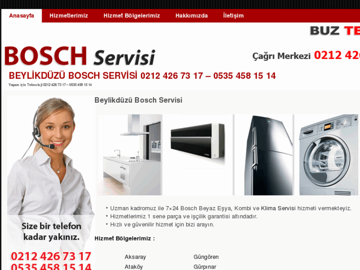 www.beylikduzuboschservisi.com