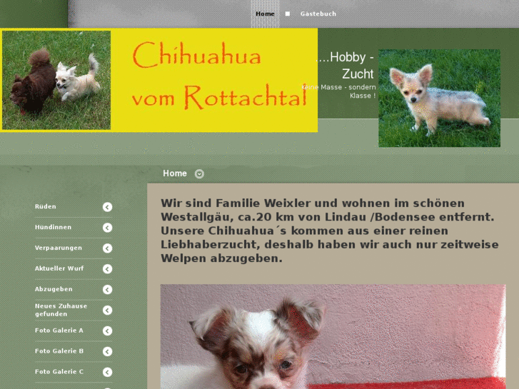 www.chihuahua-vom-rottachtal.com