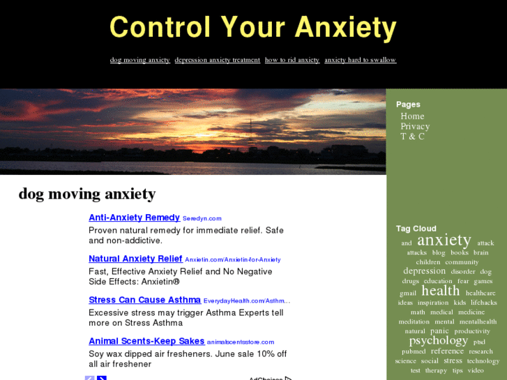 www.controlyouranxiety.com