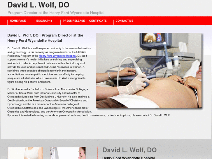 www.davidlwolf.com