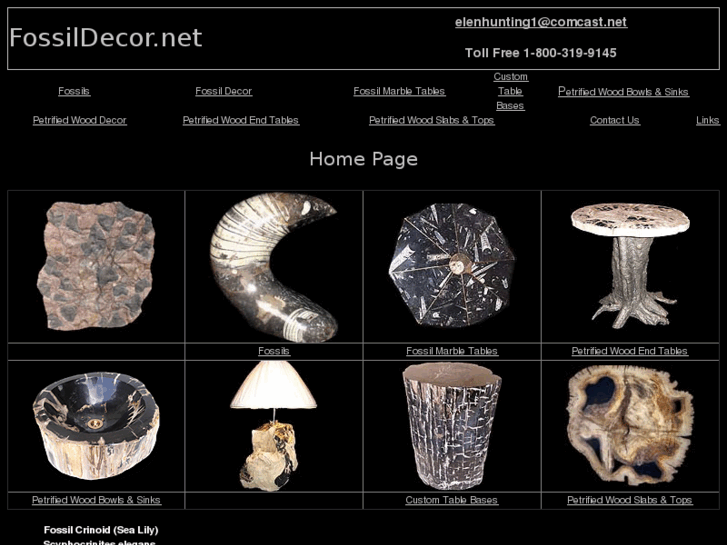 www.fossildecor.net