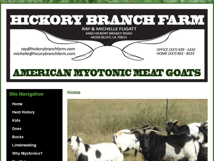 www.hickorybranchfarm.com