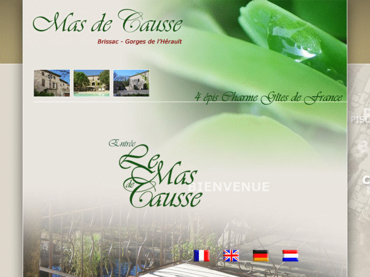 www.mas-de-causse.com