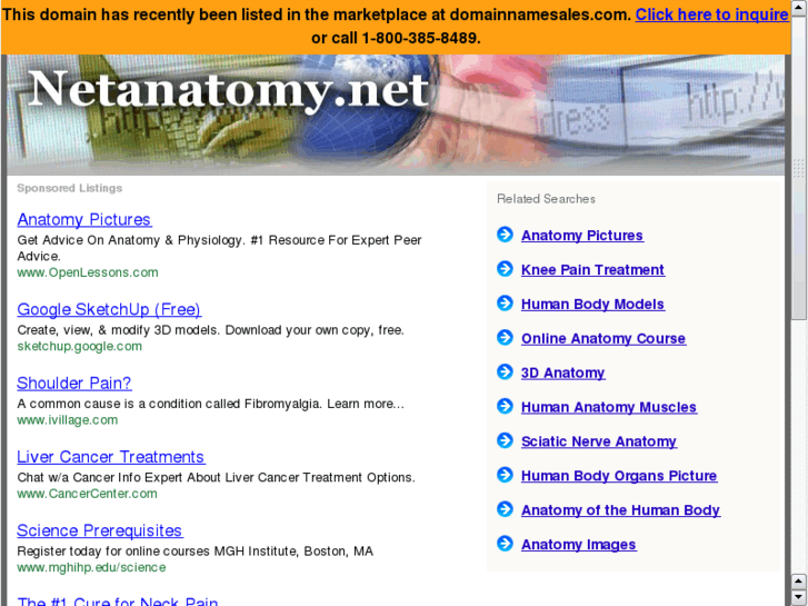 www.netanatomy.net
