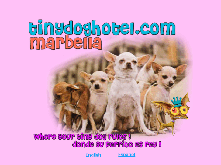 www.nopys.es