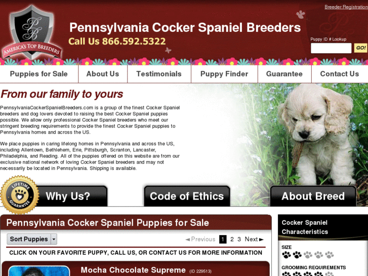 www.pennsylvaniacockerspanielbreeders.com