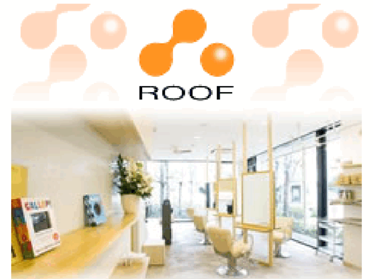 www.roof-hair.com